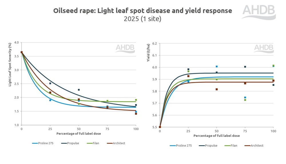 OSR light leaf spot disease and yield response to fungicides chart 2025.